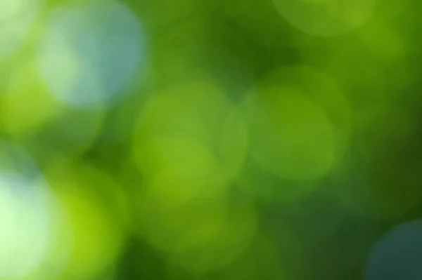 Green Bokeh Abstract Light Background — Stock Photo, Image