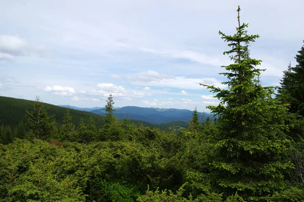 Paysage Montagne Été — Photo