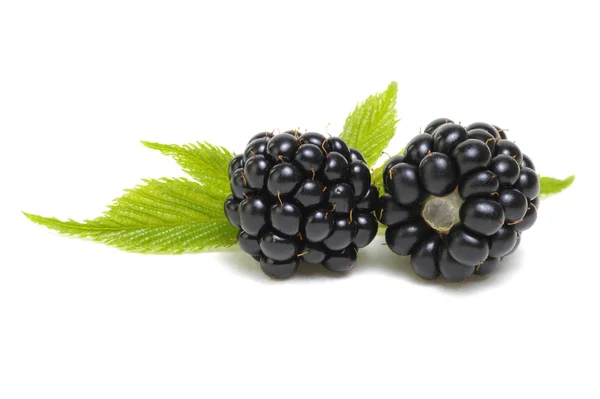 Brombeeren Mit Blättern Isoliert Auf Weißem Hintergrund — Stockfoto