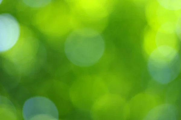 Green Bokeh Abstract Light Background — Stock Photo, Image