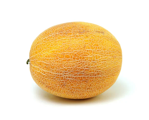 Melon Isolerad Vit Bakgrund Apelsinburk Närbild — Stockfoto