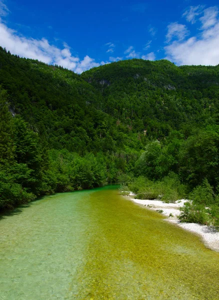 Paisaje Con Montañas Bosque Río —  Fotos de Stock