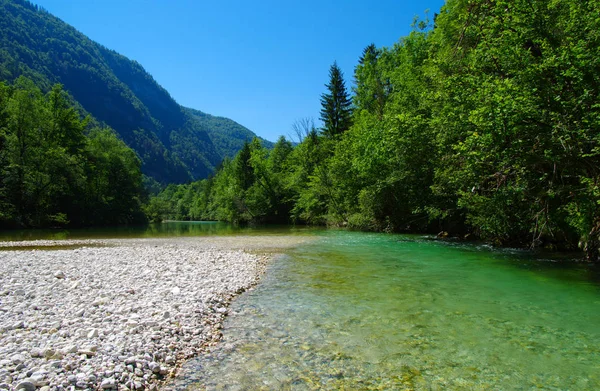 Paisaje Con Montañas Bosque Río —  Fotos de Stock