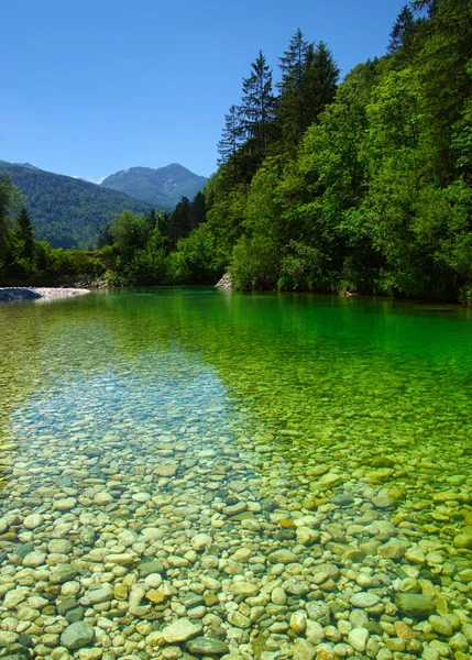 Paisaje Con Montañas Bosque Río —  Fotos de Stock