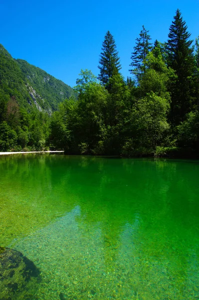 Paisagem Com Montanhas Floresta Rio — Fotografia de Stock