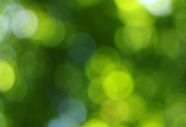yeşil bokeh soyut ışık arkaplanı