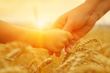 Güneşin üzerindeki anne ve kızın elleri. Birbirlerini buğday tarlasında tutuyorlar.