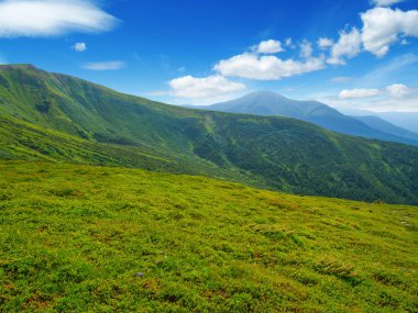 Yazın dağ manzarası