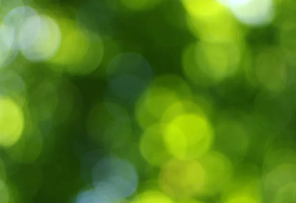 Grön Bokeh Abstrakt Ljus Bakgrund — Stockfoto