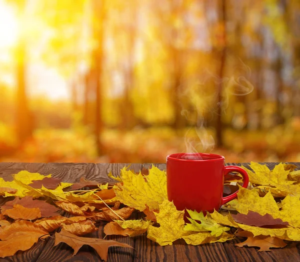 秋の葉やコーヒーの熱い蒸しカップ 太陽の光の背景に木製のテーブル 秋の時間概念 — ストック写真