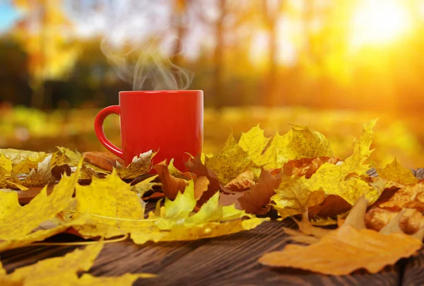 Осенние Листья Горячая Чашка Кофе Деревянный Стол Фоне Солнечного Света — стоковое фото
