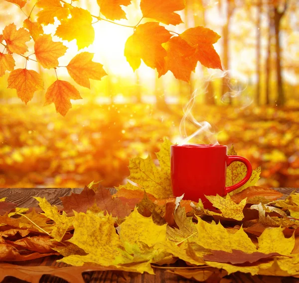 Herbstblätter Und Eine Rote Tasse Kaffee Der Sonne Verwischten Die — Stockfoto