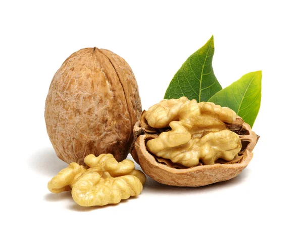 Nueces Con Hojas Aisladas Blanco — Foto de Stock