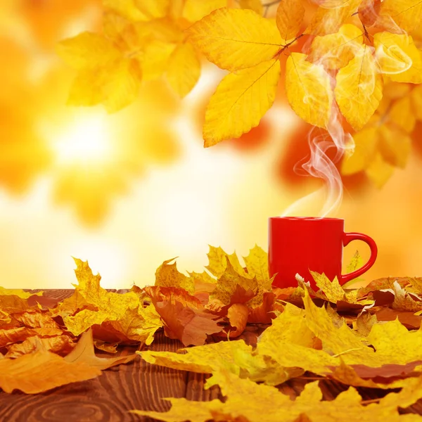 秋の葉や太陽の下でコーヒーの赤いカップの木々がぼやけている 秋の背景 — ストック写真