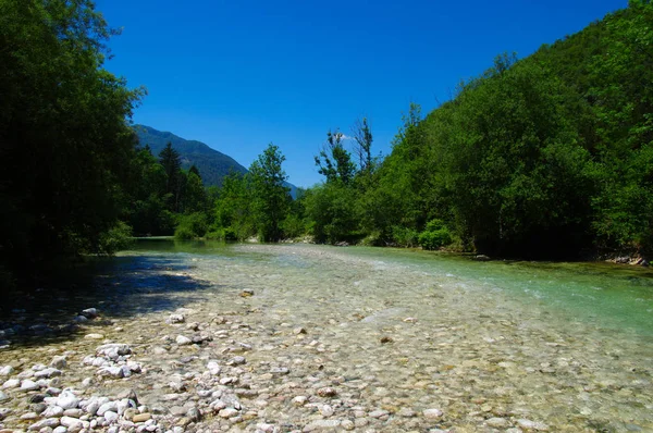 Paisagem Com Montanhas Floresta Rio — Fotografia de Stock