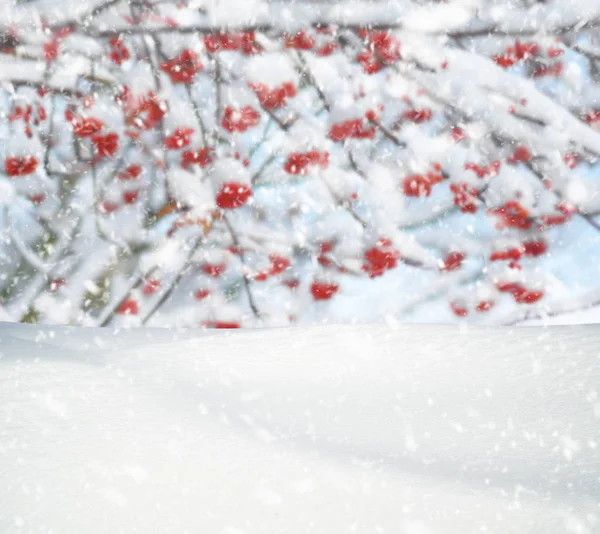 Tło Zima Padającego Śniegu Zimowy Pejzaż Kopii Przestrzeni — Zdjęcie stockowe