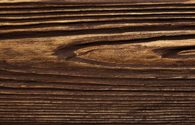 closeup arka plan ağaç doku