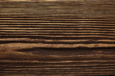 closeup arka plan ağaç doku