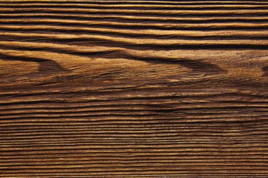 closeup arka plan ağaç doku