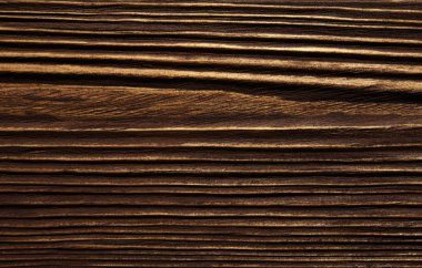 closeup arka plan ağaç doku