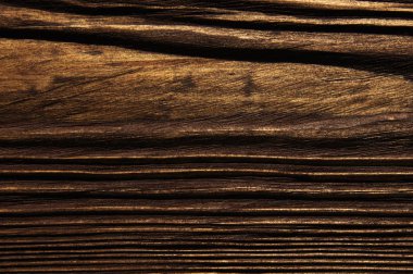 closeup arka plan ağaç doku