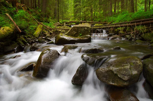 Mountain River Flowing Green Forest Stream Wood — Stock Photo, Image