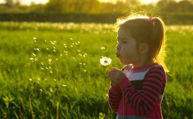 Karahindiba açık havada bahar fiel üfleme kız