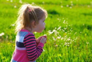 Karahindiba açık havada bahar fiel üfleme kız