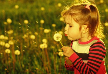 Karahindiba açık havada bahar fiel üfleme kız