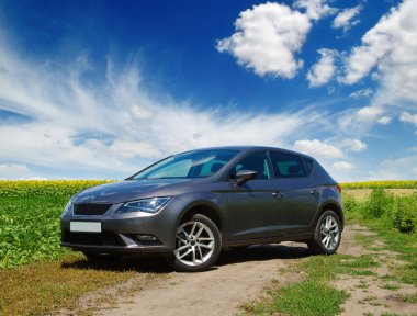 Ayçiçeği tarlası araba