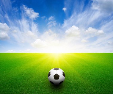 Çimlerin üzerinde futbol topu 