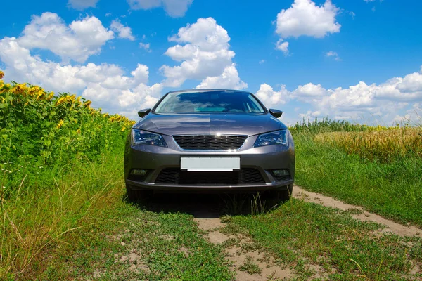 Coche Campo Girasoles — Foto de Stock