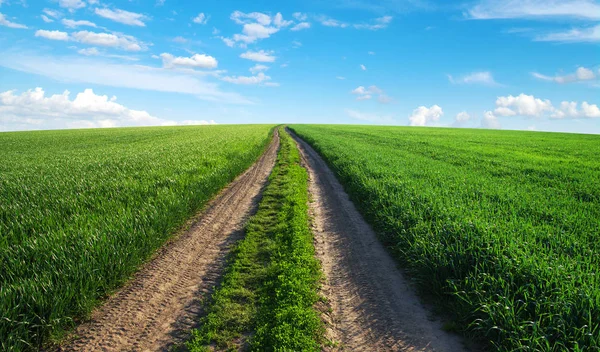 Estrada Campo Céu Azul Com Nuvens — Fotografia de Stock