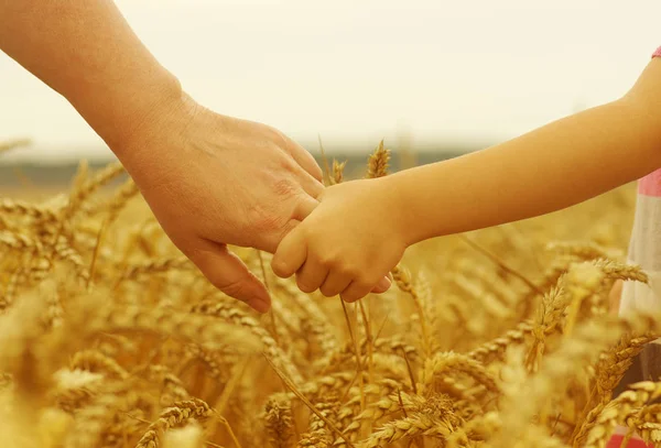 Hände Von Mutter Und Tochter Halten Sich Auf Weizenfeld — Stockfoto