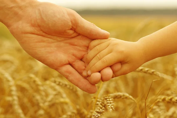 父と娘の麦畑にお互いを保持しての手 — ストック写真