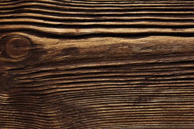 closeup arka plan ağaç doku