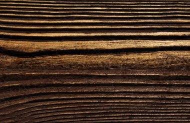 closeup arka plan ağaç doku