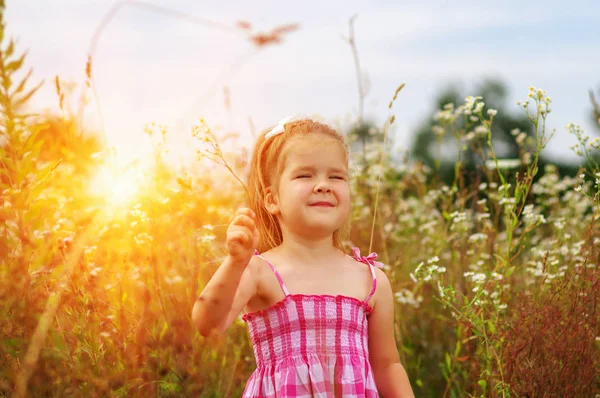 Kleines Mädchen Auf Der Wiese Frühlingstag — Stockfoto