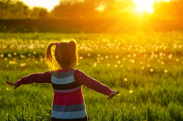 Mädchen Sonnenlicht Auf Dem Feld — Stockfoto