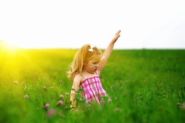 Kleines Mädchen Auf Der Wiese Frühlingstag — Stockfoto