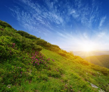 Güneşli dağ manzarası