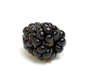  Olgun böğürtlenler beyaz arka planda izole edilmiş kırpma yolu ile.