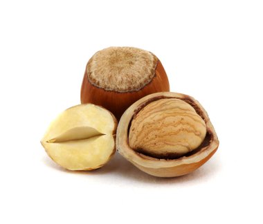 Beyaz arkaplanda izole edilmiş fındık yakın plan.