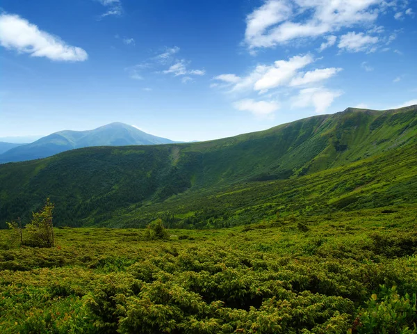 Paisaje Montaña Verano — Foto de Stock