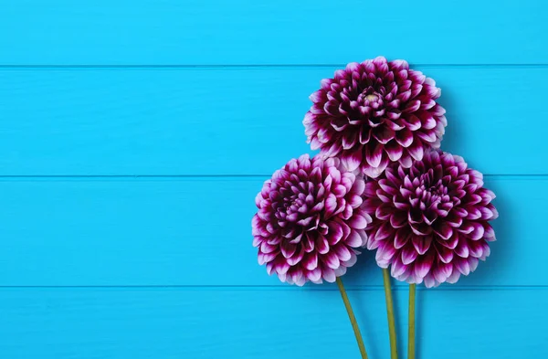 Bloemen Blauw Geschilderde Houten Planken Plaats Voor Tekst — Stockfoto