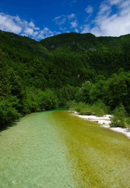 Landskap Med Berg Skog Och Flod — Stockfoto