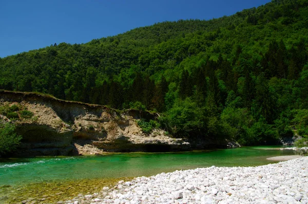 Dağları Ormanı Nehri Olan Bir Manzara — Stok fotoğraf