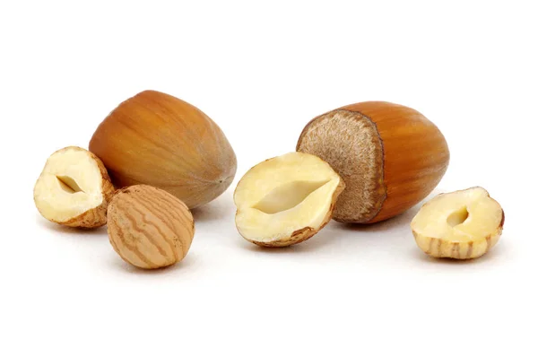 Hazelnut Group Many Isolated White Background — Stok Foto