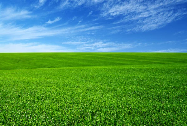 Zielona Trawa Wzgórzach Błękitne Niebo Chmurami — Zdjęcie stockowe