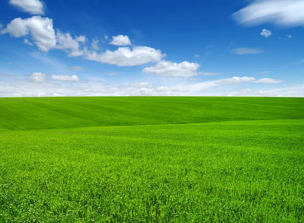 Grünes Gras Auf Hügeln Und Blauer Himmel Mit Wolken — Stockfoto